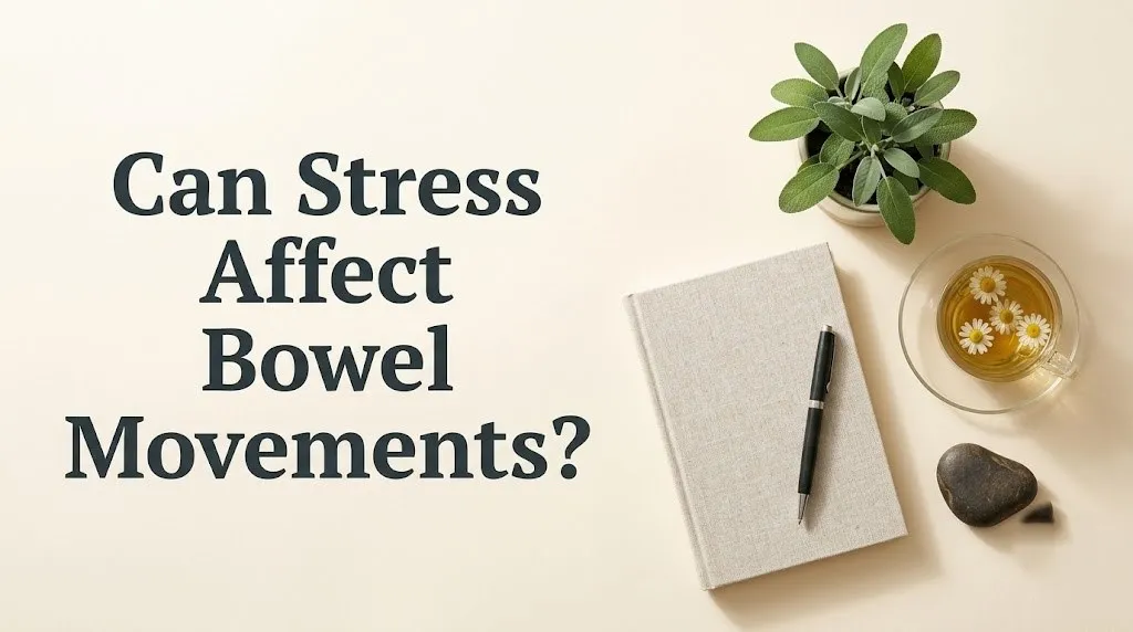 Can stress affect bowel movements article hero banner with headline text and calming digestive wellness and herbal tea.