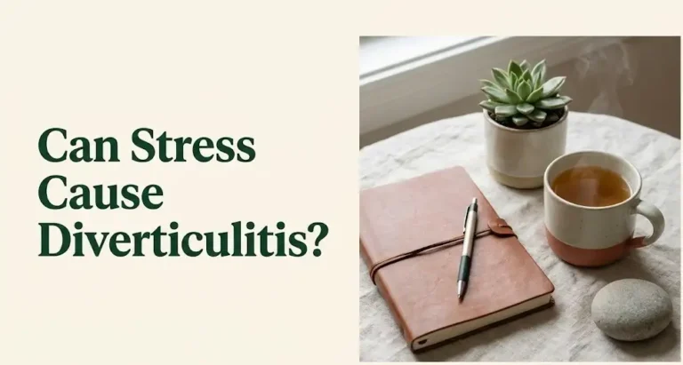 Can stress cause diverticulitis article hero banner with wellness flat-lay featuring journal, herbal tea, and succulent on cream background.