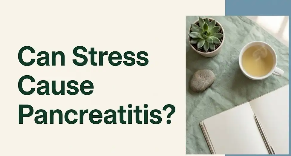 Can stress cause pancreatitis calm wellness flat-lay with herbal tea, journal, and plant on cream background.